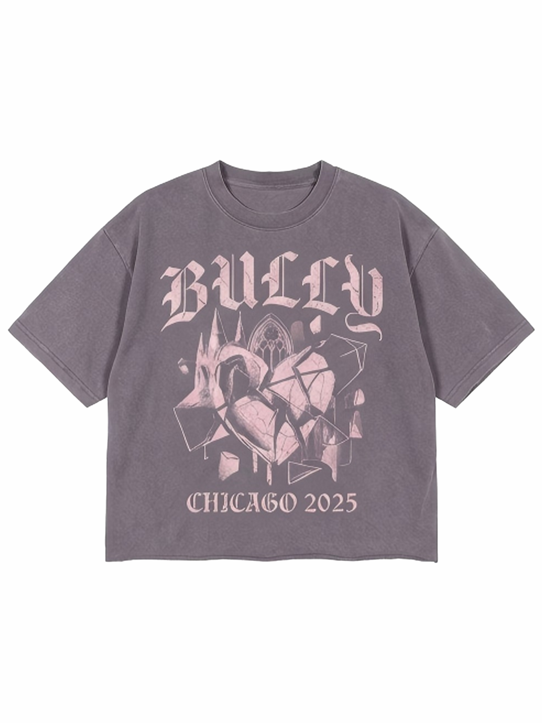 BASIC MAGIC “BULLY: CHICAGO 2026” Vintage Wash Graphic Tee — Heavyweight Gothic Street Fit